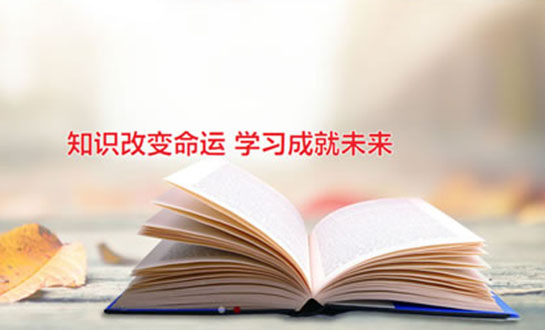 網(wǎng)站建設需要哪些費用？