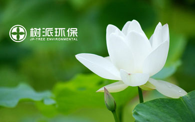 瀘州樹(shù)派環(huán)?？萍加邢薰?/></p>
                    <p class=